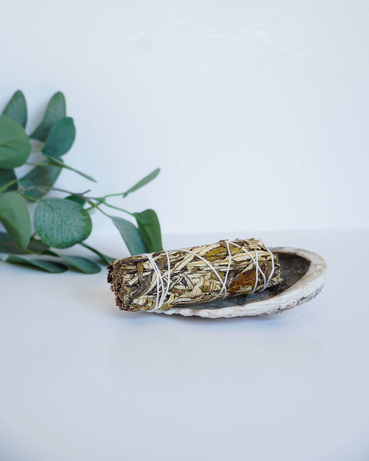 Sauge noire - Yerba Santa