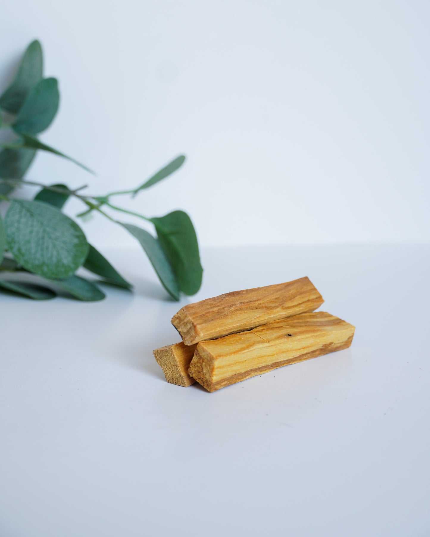 Palo Santo