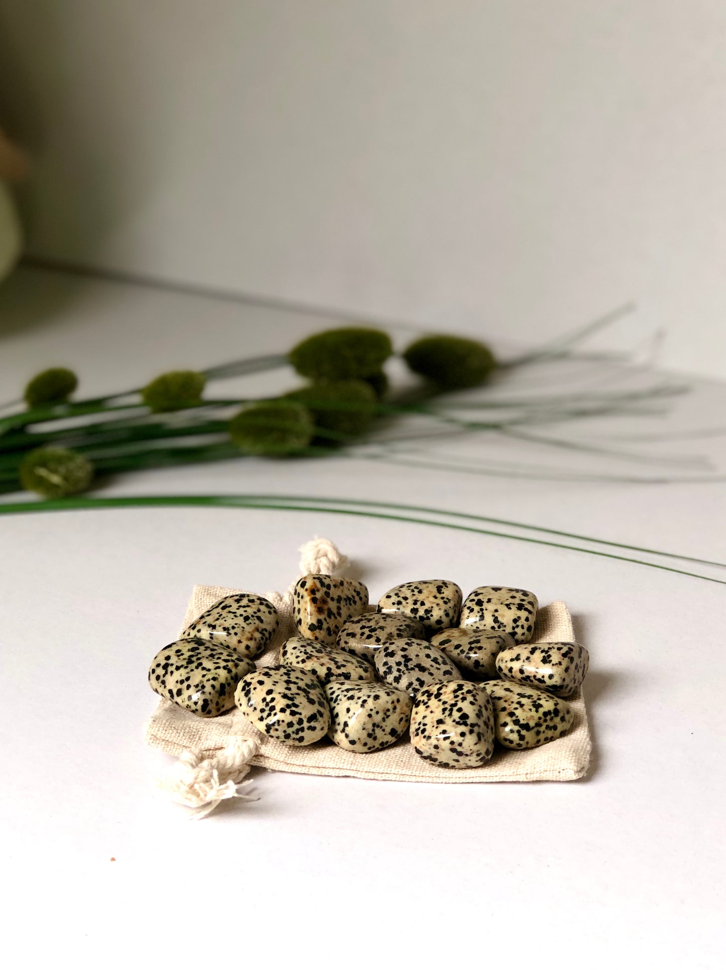 Jaspe Dalmatien - Pierre roulée