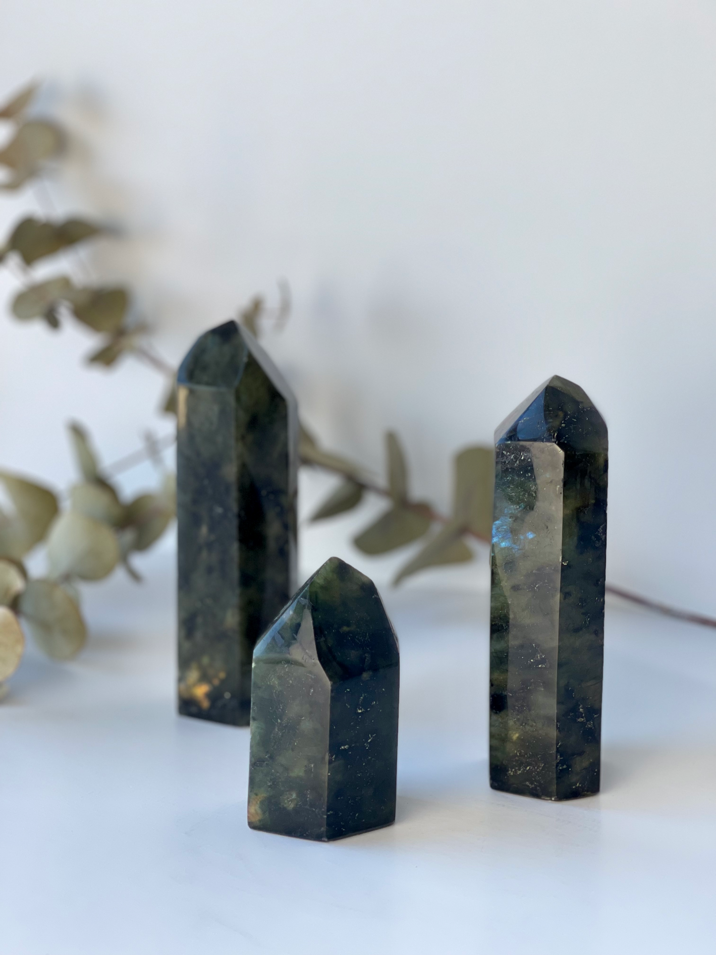 Prisme Labradorite - Extra